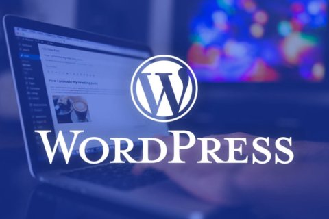 WordPress 禁用密码找回邮件或修改该邮件内容