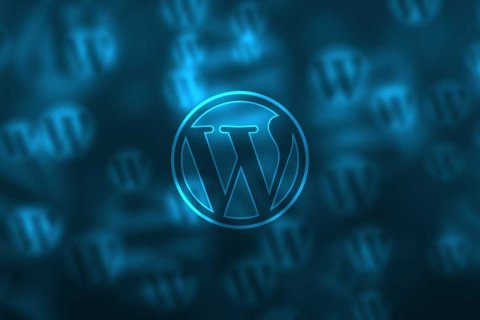 WordPress 禁用密码找回邮件或修改该邮件内容