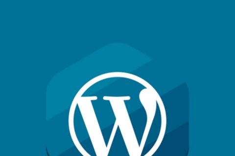 WordPress 禁用密码找回邮件或修改该邮件内容