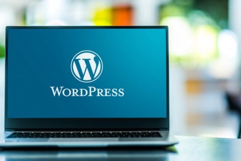 WordPress 6.1 新增必填字段相关函数和钩子