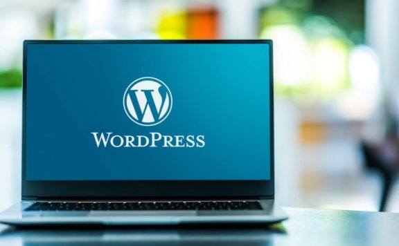 WordPress 6.1 开发者指南