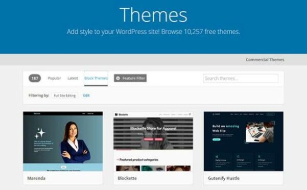 预测 WordPress 的下一个创新机会