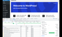 Automattic 发布 wp-now：由 WordPress Playground 提供支持的本地开发环境