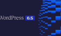 WordPress 6.5 新功能大全：字体库、数据视图、块绑定、交互 API 等