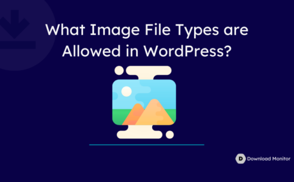 WordPress 允许上传的文件类型以及如何新增新的文件类型支持