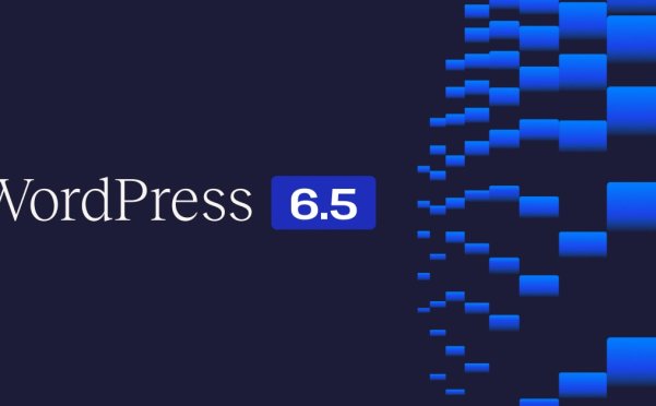 WordPress 6.5 新功能大全：字体库、数据视图、块绑定、交互 API 等