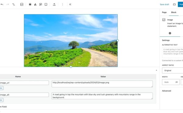 WordPress 6.5 引入块绑定 API，将动态数据引入块