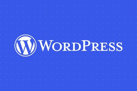 WordPress 6.6 新功能大全：样板覆盖、块绑定 API、数据视图、新设计工具等