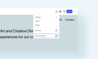 Gutenberg 19.2 块绑定UI已可用，还支持通过插件 API 扩展预览选项