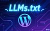 什么是 LLMs.txt？它对SEO有用吗？WordPress 网站如何生成 LLMs.txt？