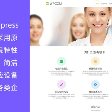 WordPress通用型企业主题 Vitality