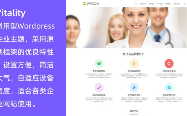 WordPress通用型企业主题 Vitality