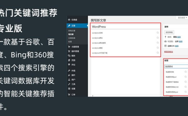 WordPress热门关键词推荐插件专业版