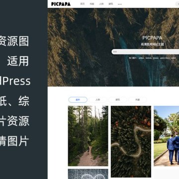 WordPress图库资源下载站主题 Picpapa