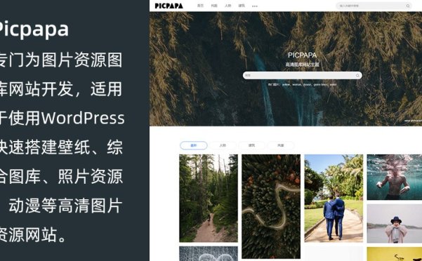 WordPress图库资源下载站主题 Picpapa